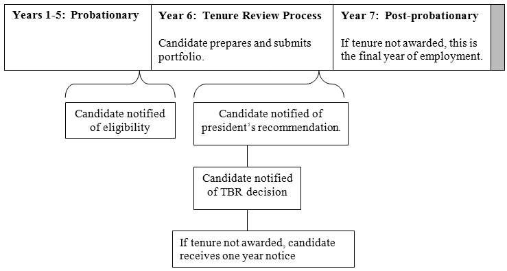 A visual diagram of the tenure timeline as explained in the text.